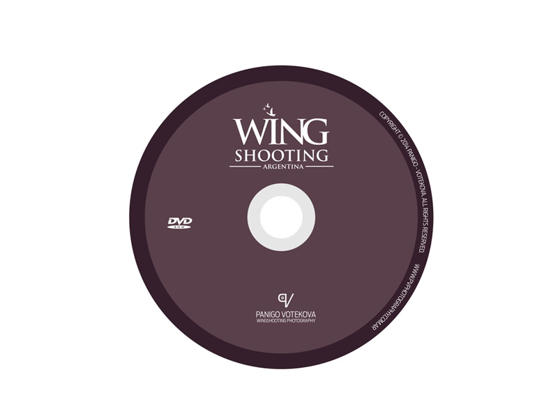 Vinyl music